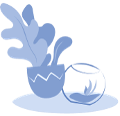 Кімнатні рослини